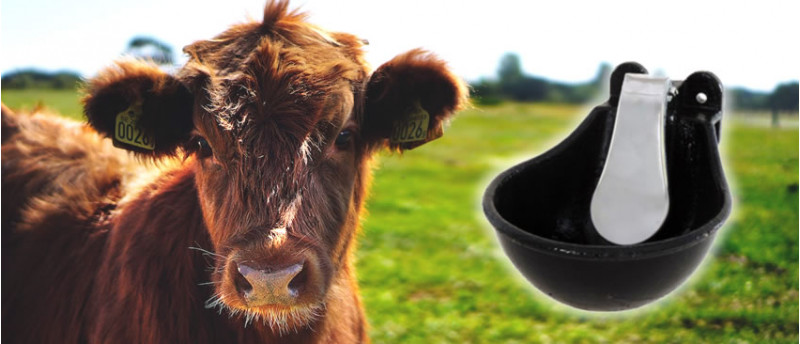 Cea mai buna adapatoare