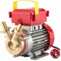 Electropompe vin (1) Electropompe vin (1)