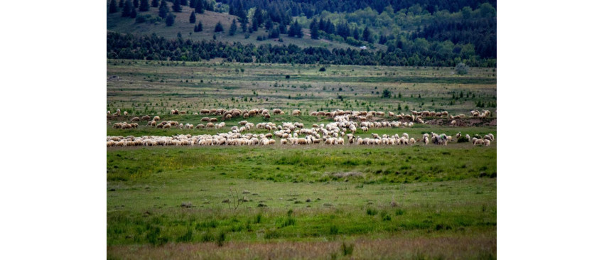 Solul - cate tipuri de sol exista si cum intretinerea acestuia contribuie la o agricultura mai sustenabila?
