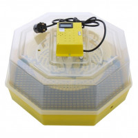Incubator oua (clocitoare pui) cu afisare temperatura CLEO 5T, 60 oua gaina - 42 oua curca - 50 oua rata - 30 oua gasca - 150 oua prepelita
