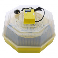 Incubator oua (clocitoare pui) cu afisare temperatura CLEO 5T, 60 oua gaina - 42 oua curca - 50 oua rata - 30 oua gasca - 150 oua prepelita Incubator oua (clocitoare pui) cu afisare temperatura CLEO 5T, 60 oua gaina - 42 oua curca - 50 oua rata - 30 oua gasca - 150 oua prepelita