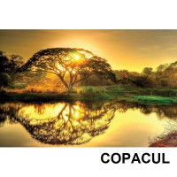 Panou radiant infrarosu imprimat 300 W Dragus + cadou