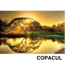 Panou radiant infrarosu imprimat 1200 W Dragus + cadou Panou radiant infrarosu imprimat 1200 W Dragus + cadou