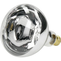 Bec infrarosu 250W HardGlass Transparent 