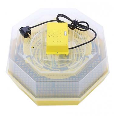 Incubator oua (clocitoare pui) CLEO 5, oua gaina - 60 / oua curca - 42 / oua rata - 50 / oua gasca - 30 / oua prepelita - 150 [1]