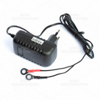 Adaptor 230V-12V 1000mA in comutatie