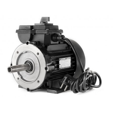 Motor 550W aparat de muls [1]