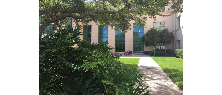 Alei curte din beton - cum se toarna beton in curte, pas cu pas