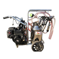 Aparat de muls vaci cu 2 posturi si 1 bidon inox 40L T240 INOX IC + Briggs Stratton 7 CP Electric Start Gardelina
