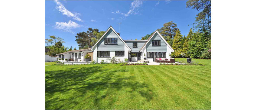 Ingrijirea gazonului - descopera cele mai bune sfaturi pentru mentinerea unui gazon sanatos