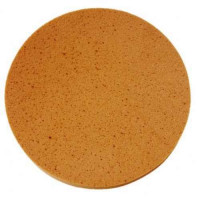 Disc din burete mediu 400 mm pentru masina de driscuit Disc din burete mediu 400 mm pentru masina de driscuit