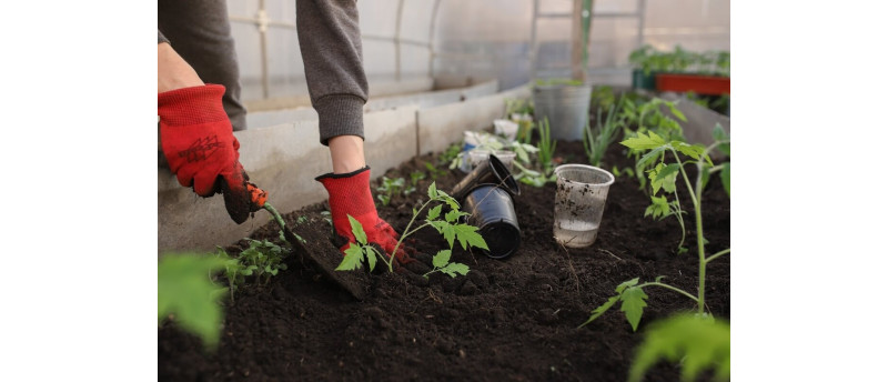 Incalzirea serei - Cum se face incalzirea acesteia pe timp de iarna si ce echipamente pot fi utilizate