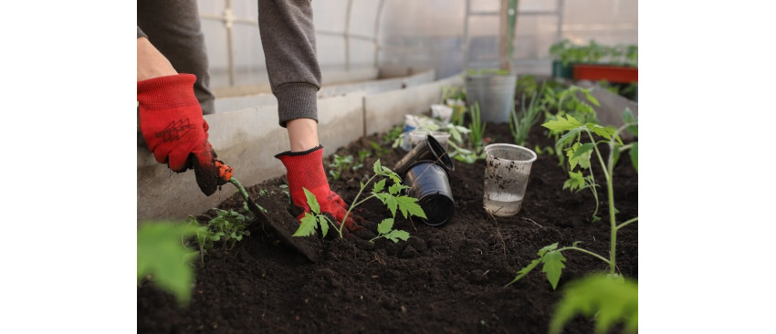 Incalzirea serei - Cum se face incalzirea acesteia pe timp de iarna si ce echipamente pot fi utilizate