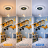 Lustra LED suspendata AVION 80W, lumina Rece/Calda/Neutra, Portocaliu Albastru [4]