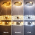 Lustra LED cu Telecomanda, LLC135/1GD, Cristal si Metal, 29W, 1 Cerc, Dimabila, Inaltime Reglabila, Lumina Rece/Calda/Neutra, Iluminat Luxos [4]