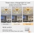 Lustra LED cu Telecomanda LT770/500GD, 45W, Lumina Calda/Rece/Neutra 3000K/4000K/6000K, Dimabila, Aurium Metal [4]