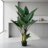 Planta Artificiala Tip Alocasia Cu Frunze Late, 3 trunchiuri, Plastic, 160 cm, Verde [3]