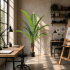 Planta Artificiala Copac Tip Palmier Regal, 180 cm, 10 frunze, Verde, cu Ghiveci [2]