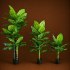 Planta Artificiala Tip Dieffenbachia, 150 cm, Verde [4]
