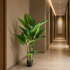 Planta Artificiala Tip Alocasia, 3 tulpini, 160 cm, Verde [3]