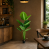 Planta Artificiala Tip Strelitzia, 160 cm, 12 frunze, Verde [3]