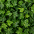 Planta Artificiala Ghirlanda din Iedera, 12 Ramuri x 30 Frunze, Verde [2]