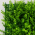 Planta Artificiala Panou de Gard Viu Eucalipt, 40 x 60 cm, Verde [2]