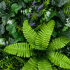 Planta Artificiala Panou de Gard Viu Lavanda si Frunze Mixte, 40 x 60 cm, Verde [2]