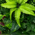 Planta Artificiala Panou de Gard Viu Mix Frunze de Piersic si Frunze Mixte, 40 x 60 cm, Verde [2]