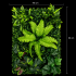 Planta Artificiala Panou de Gard Viu Mix Frunze de Piersic si Frunze Mixte, 40 x 60 cm, Verde [3]