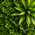 Planta Artificiala Panou de Gard Viu Cimisir, 100 x 100 cm, Verde [2]