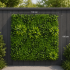 Planta Artificiala Panou de Gard Viu Cimisir, 100 x 100 cm, Verde [3]