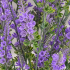 Planta Artificiala, Floare Decorativa de Lavanda, 9 Ramuri, 44 cm, Mov si Verde, Set de 2 Bucati [2]