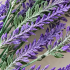 Planta Artificiala, Floare Decorativa de Lavanda, 5 Ramuri, 38 cm, Mov si Verde, Set de 2 Bucati [2]