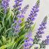 Planta Artificiala, Floare Decorativa de Lavanda, 18 Ramuri, 54 cm, Mov si Verde, Set de 2 Bucati [2]