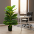 Planta Artificiala Copac Tip Smochin, 70 cm, Verde, cu Ghiveci [3]