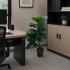 Planta Artificiala Copac Tip Ficus, 2 Ramuri, 100 cm, Verde, cu Ghiveci [3]