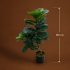Planta Artificiala Copac Tip Ficus, 2 Ramuri, 100 cm, Verde, cu Ghiveci [4]