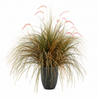 Planta Artificiala Iarba Ornamentala Tip Coada de Vulpe, 120cm, Iarba curbata si Spice, Verde si Roz, Fara Ghiveci