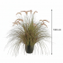 Planta Artificiala Iarba Ornamentala Tip Coada de Vulpe, 100cm, Iarba curbata cu Spice, Roz si Verde, Fara Ghiveci [3]