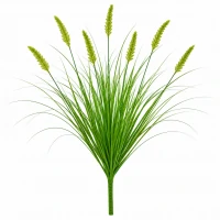 Planta Artificiala Iarba Ornamentala Tip Coada Vulpii, 60 cm, cu 7 Spice, Verde, Fara Ghiveci Planta Artificiala Iarba Ornamentala Tip Coada Vulpii, 60 cm, cu 7 Spice, Verde, Fara Ghiveci