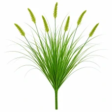 Planta Artificiala Iarba Ornamentala Tip Coada Vulpii, 60 cm, cu 7 Spice, Verde, Fara Ghiveci Planta Artificiala Iarba Ornamentala Tip Coada Vulpii, 60 cm, cu 7 Spice, Verde, Fara Ghiveci