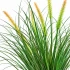 Planta Artificiala Iarba Ornamentala Tip Coada Vulpii, 60 cm, cu 7 Spice, Verde si Roz, Fara Ghiveci [2]