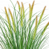 Planta Artificiala Iarba Ornamentala Tip Coada Vulpii, 100 cm, cu 12 Spice, Verde si Roz, Fara Ghiveci [2]