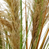 Planta Artificiala Iarba Ornamentala, 120 cm, cu 3 Fire, Stuf si Iarba, Verde Inchis si Maro, Fara Ghiveci [2]