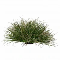 Planta Artificiala Tufa de Iarba Tip Ceapa Curbata, 28 cm, Densitate Redusa, Verde Inchis, Fara Ghiveci
