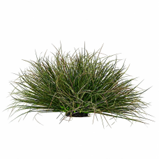 Planta Artificiala Tufa de Iarba Tip Ceapa Curbata, 28 cm, Densitate Redusa, Verde Inchis, Fara Ghiveci Planta Artificiala Tufa de Iarba Tip Ceapa Curbata, 28 cm, Densitate Redusa, Verde Inchis, Fara Ghiveci