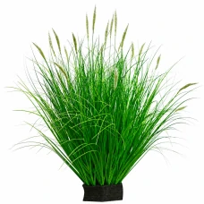 Planta Artificiala Iarba Ornamentala Tip Coada Vulpii, 80 cm, cu 33 Spice, Verde si Alb, Fara Ghiveci Planta Artificiala Iarba Ornamentala Tip Coada Vulpii, 80 cm, cu 33 Spice, Verde si Alb, Fara Ghiveci
