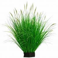 Planta Artificiala Iarba Ornamentala Tip Coada Vulpii, 67 cm, cu 25 Spice, Verde si Alb, Fara Ghiveci