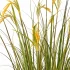Planta Artificiala Iarba Ornamentala Tip Spice de Orez, 150cm, cu 17 Fire, Verde si Galben, Fara Ghiveci [2]